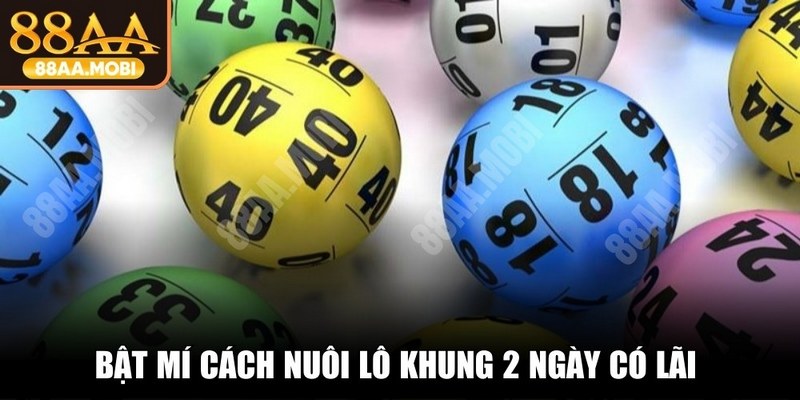 Bật mí cách nuôi lô khung 2 ngày có lãi từ chuyên gia